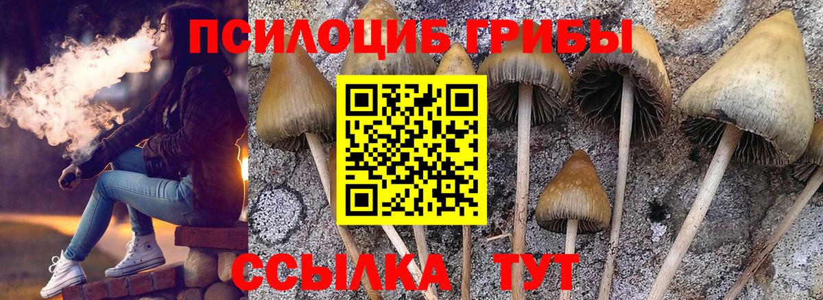 Галлюциногенные грибы Psilocybine cubensis Спасск-Дальний