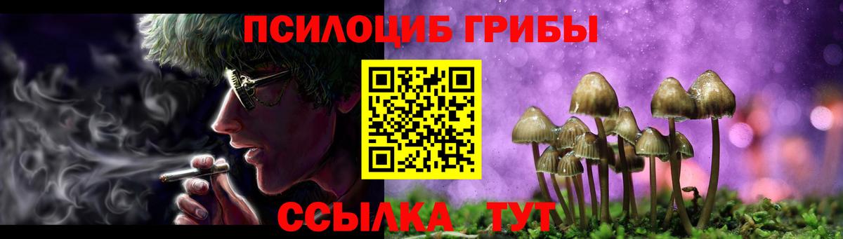 Спасск-Дальний  Галлюциногенные грибы ЛСД  Вход с VPN 